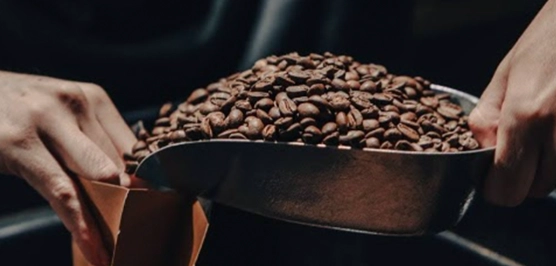 Preparación y Entrega